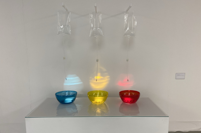 Catherine Wilkinson glass art installation.