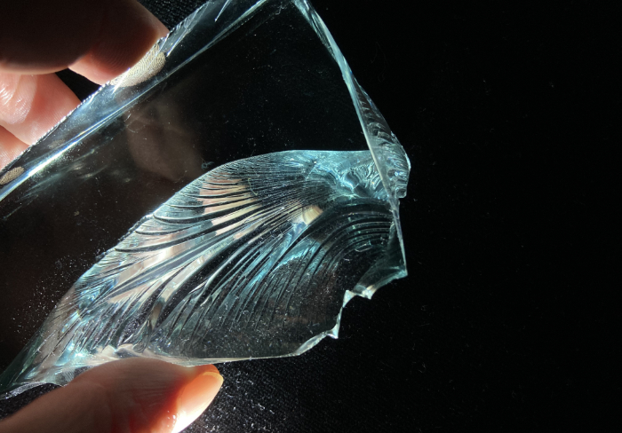 Glass Shard by Anne Petters