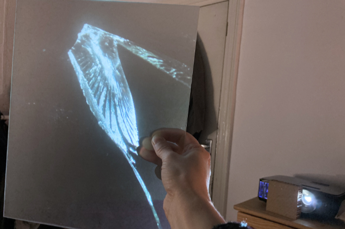 Anne Petters test sandblast.