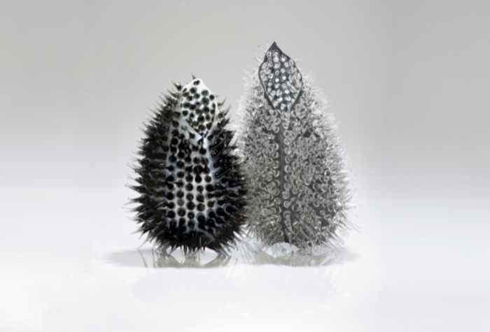 Laura Quinn's Flop Lights