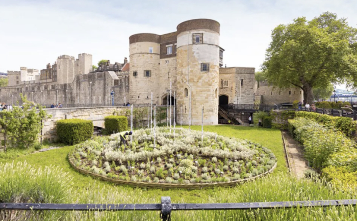 Queen's garden at Tower of London