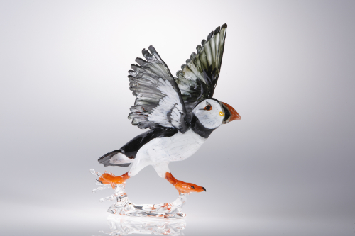 A sculpture of a flameworked glass puffin taking off from water.
