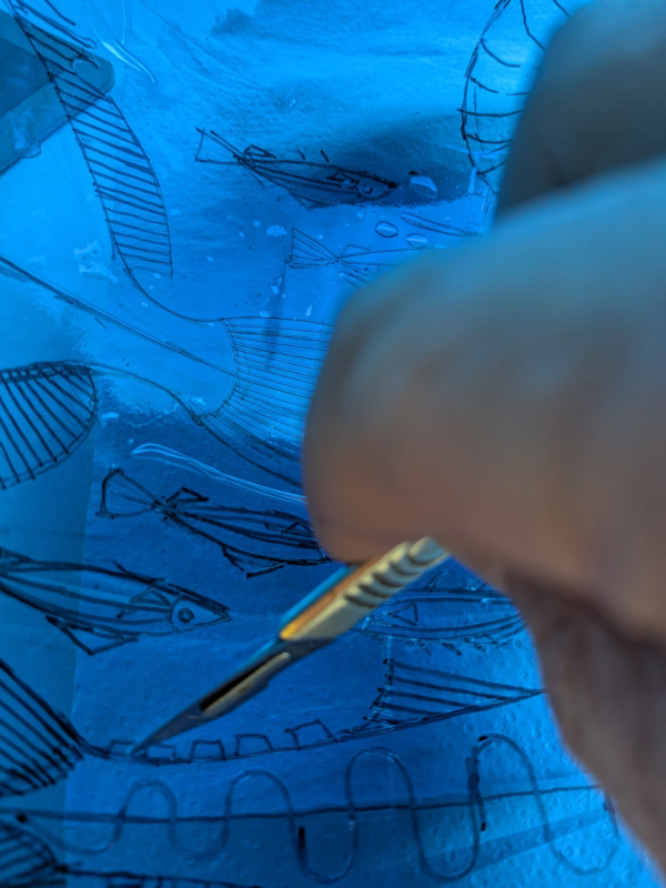 A close up of work in progress on a blue glass bowl, showing a hand holding an etching tool tracing over drawn marks of fish and abstract shapes.
