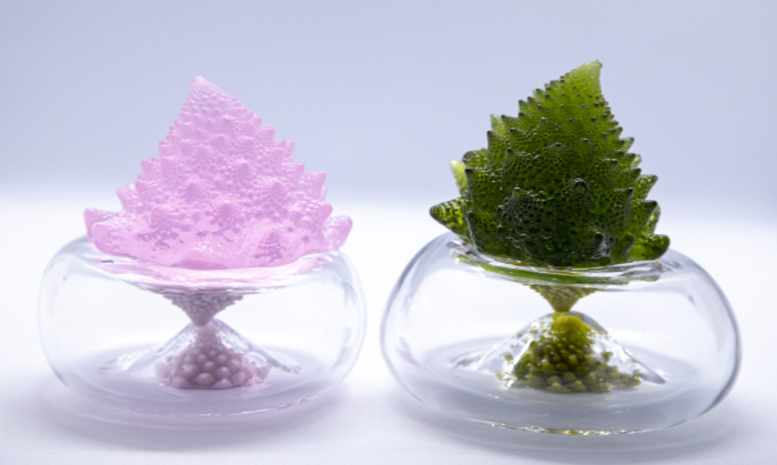 Romanesco vegetable-inspired pate de verre glass sculptures embedded in clear blown glass