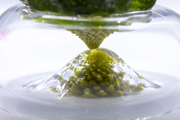 Detail of Romanesco-inspired pate de verre sculpture joined to clear glass showing interesting optical effects.