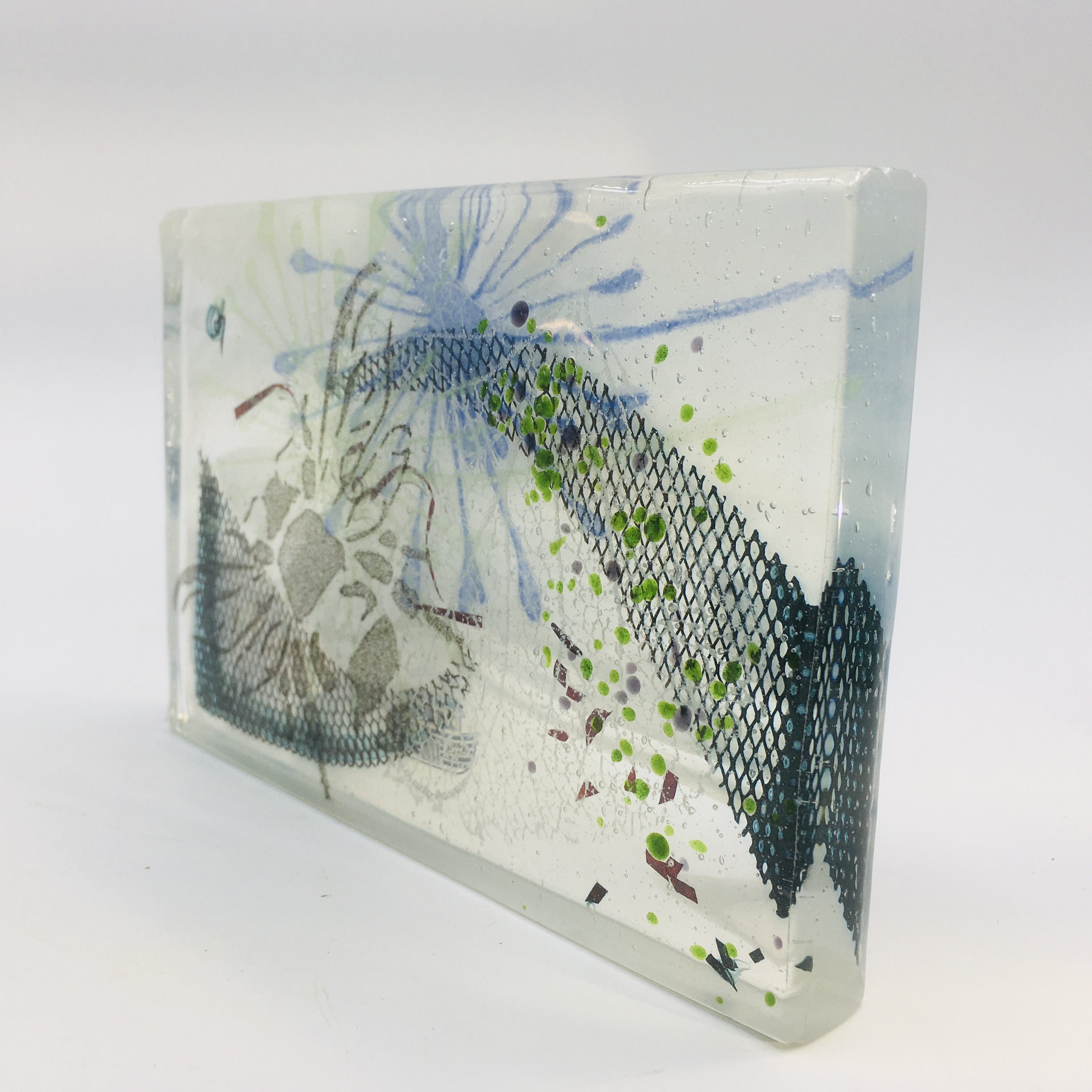 A Postcard from The Bee Of Life