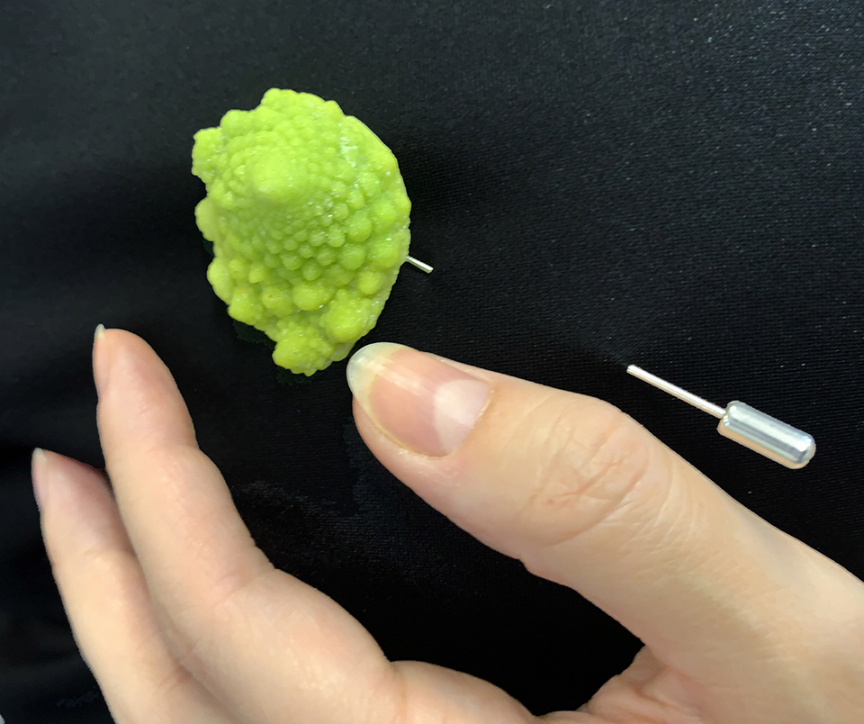 Connections Connections