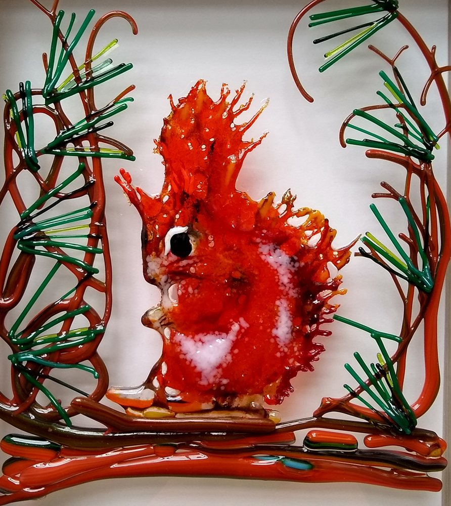 Red Squirrel (Anglesey)