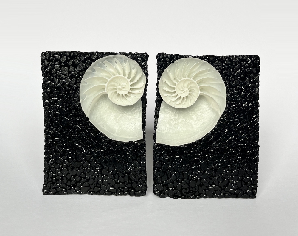 Nocturnals Nocturnals