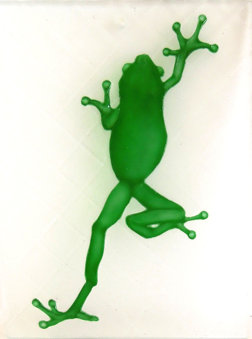 Climbing Frog