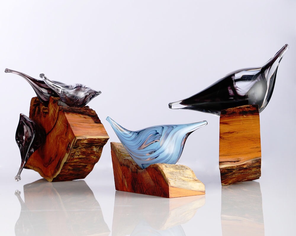 What a bird watcher sees