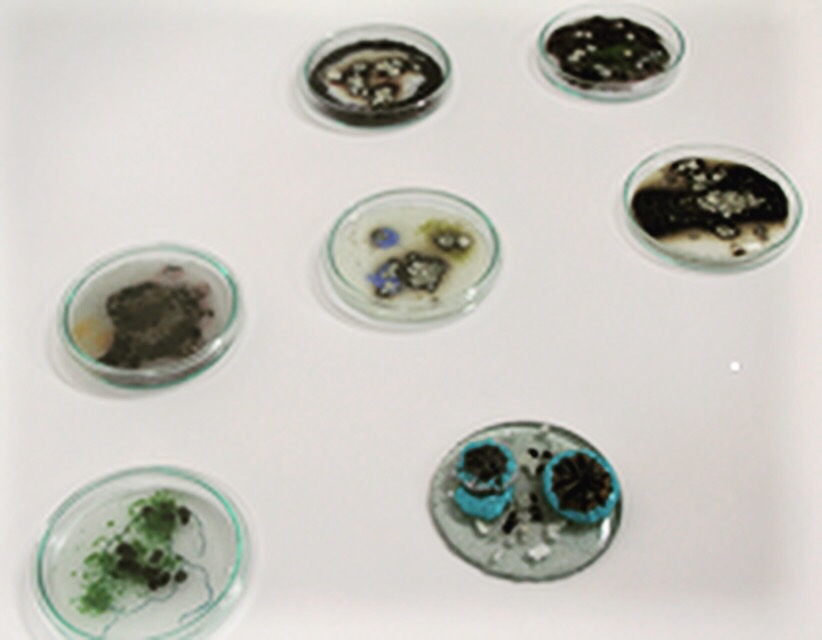 Developments in Medicine 