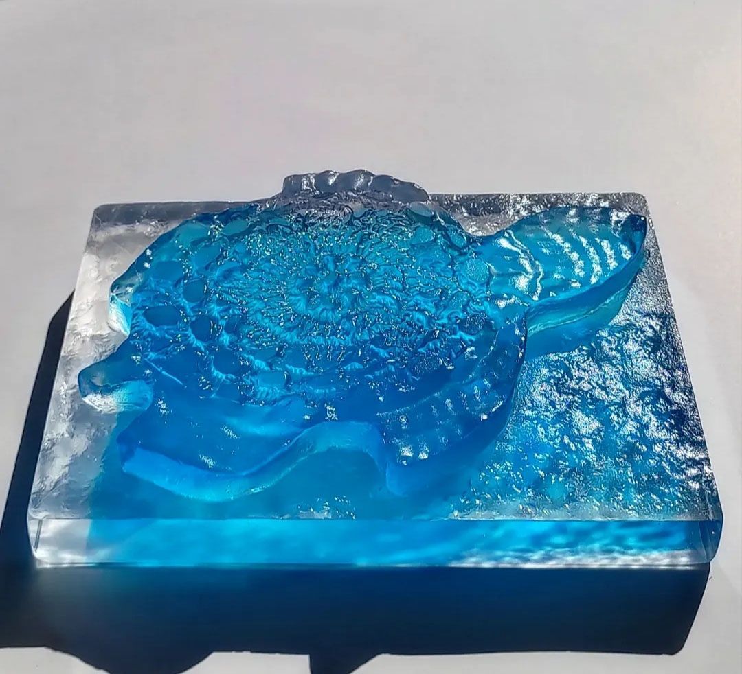 Turquoise turtle, Maldives 