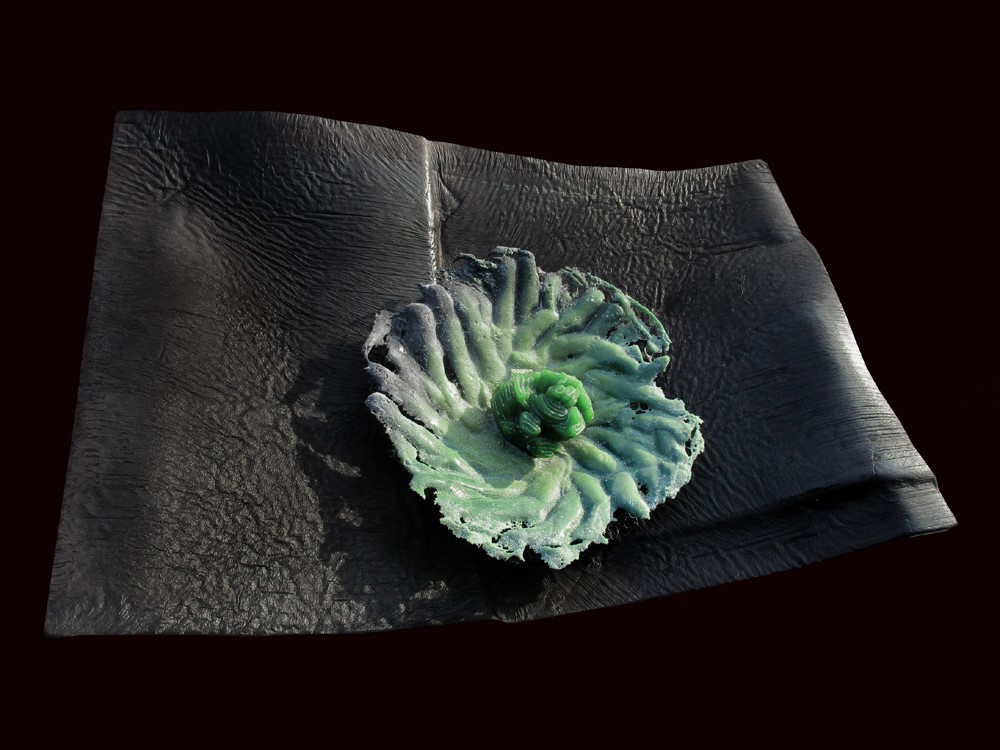 Defining Hope Defining Hope