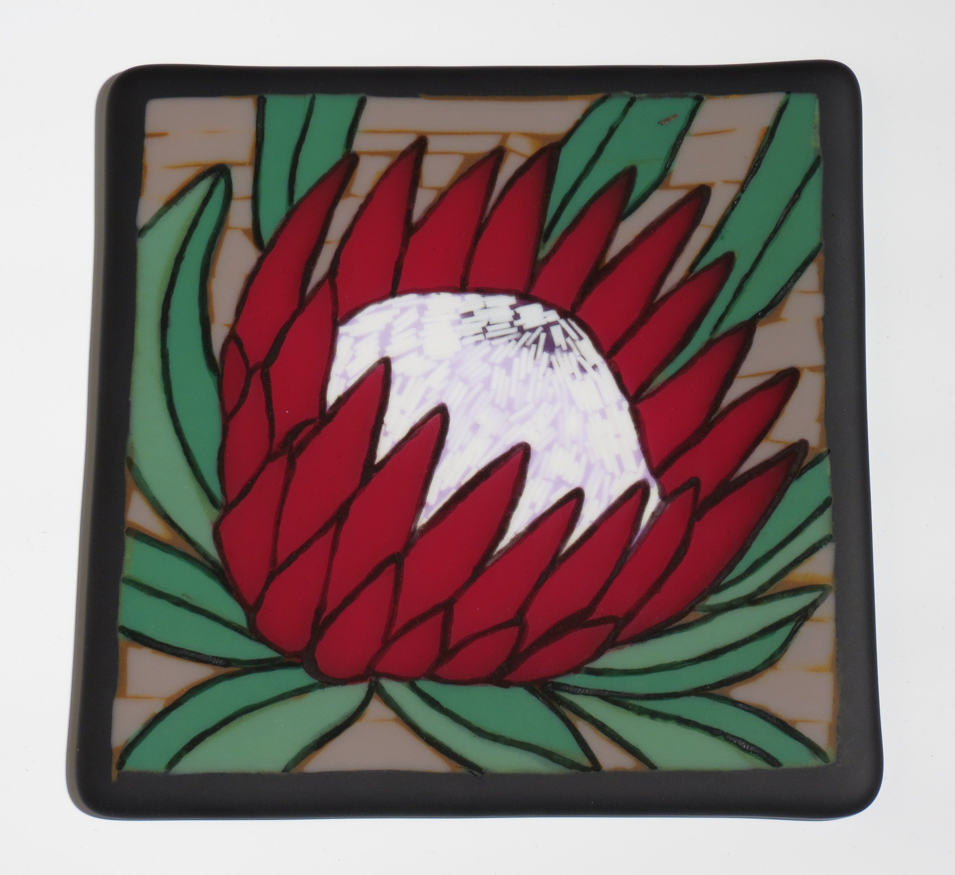 Protea Flower, Greetings from South Africa