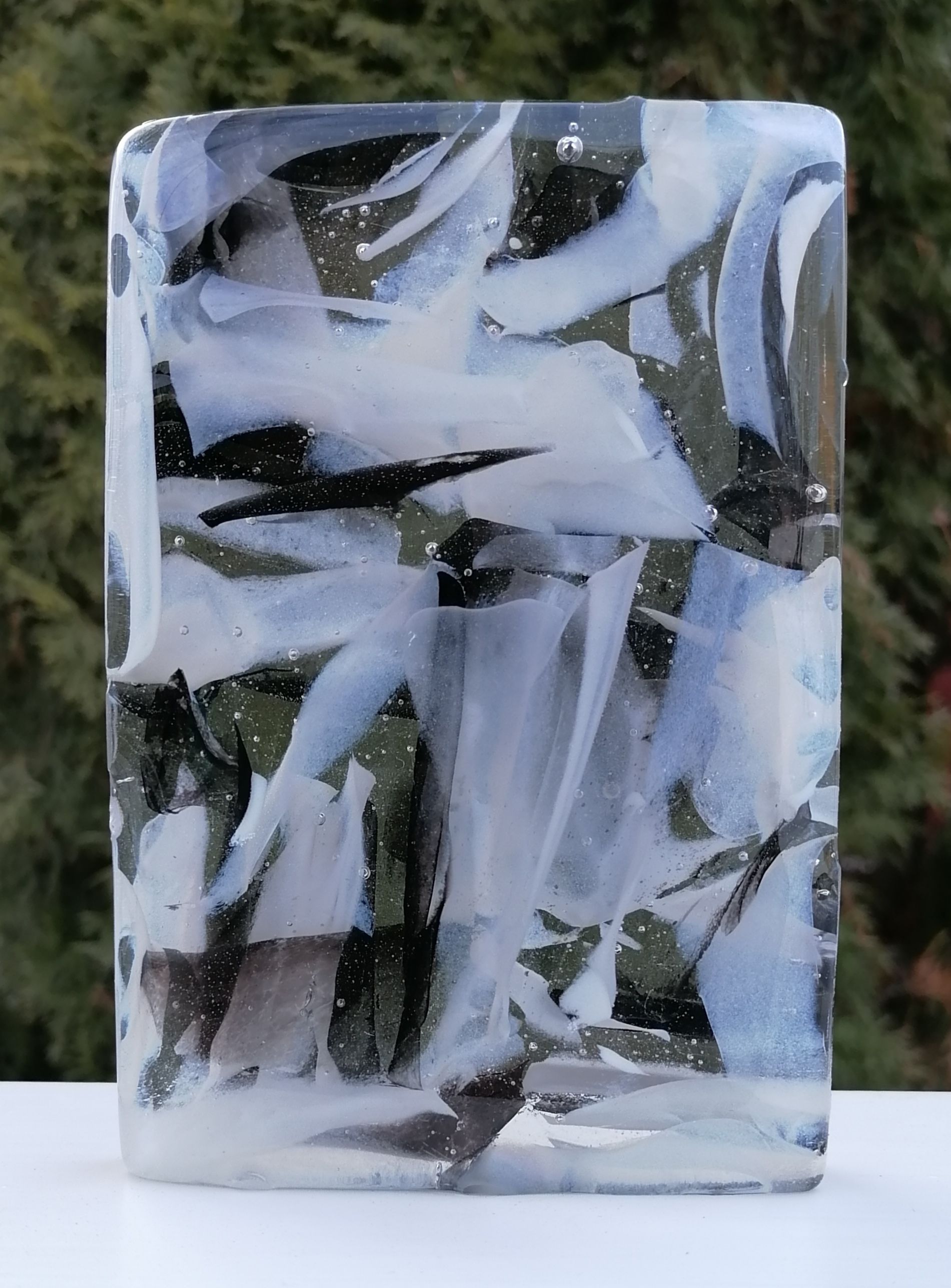 Zebras in Serengeti National Park Tanzania