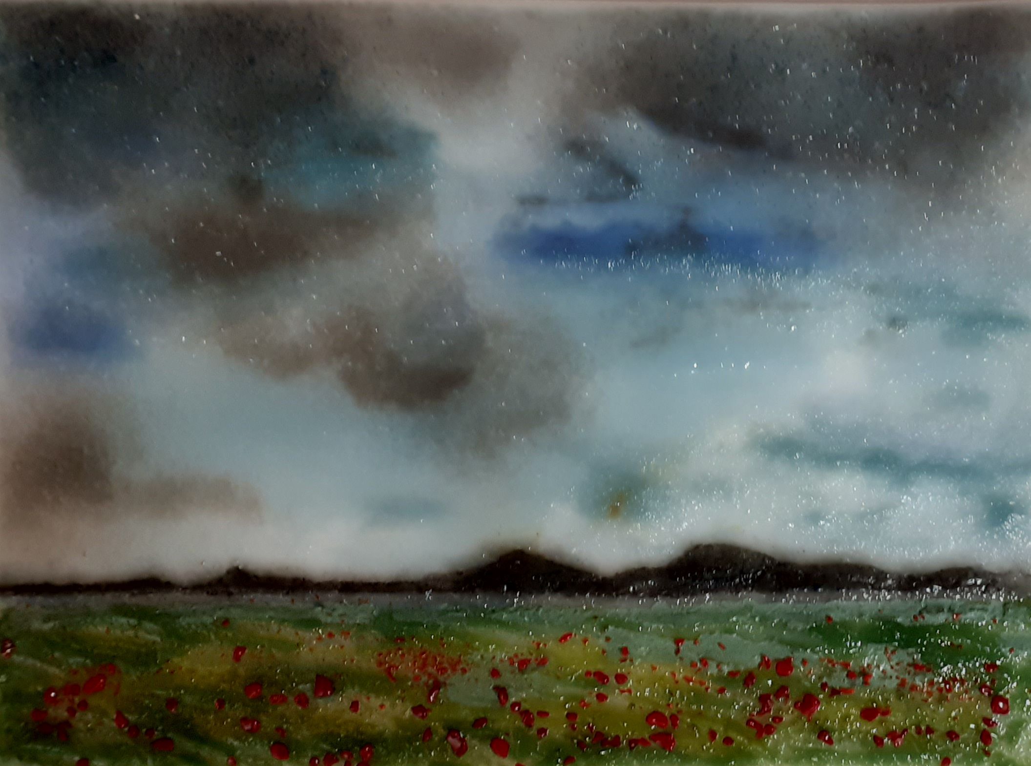 Fields of Red Poppies, India