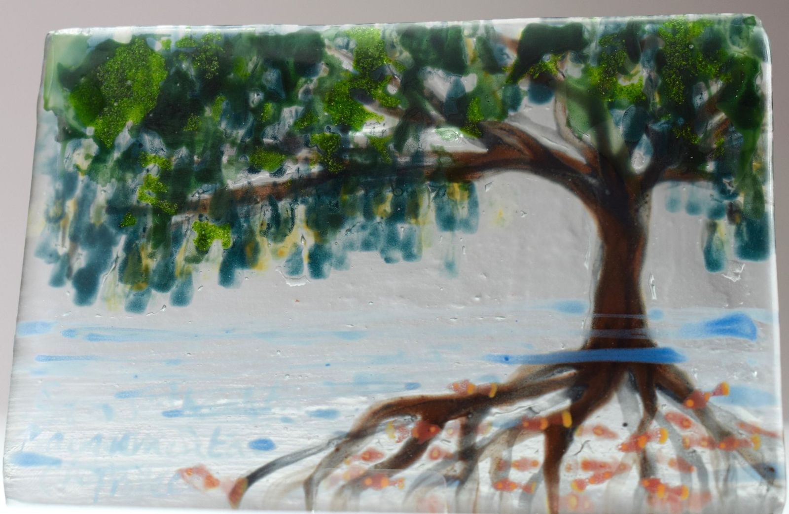 Safe Harbour Trinidad and Tobago