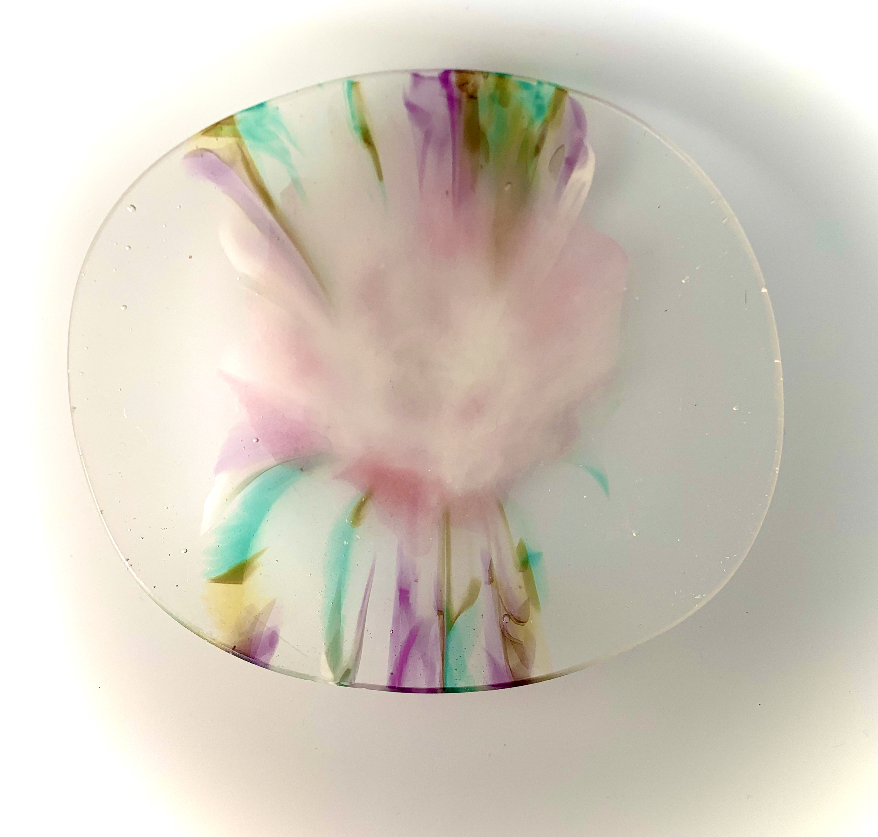 Pink Rose bursting forth.