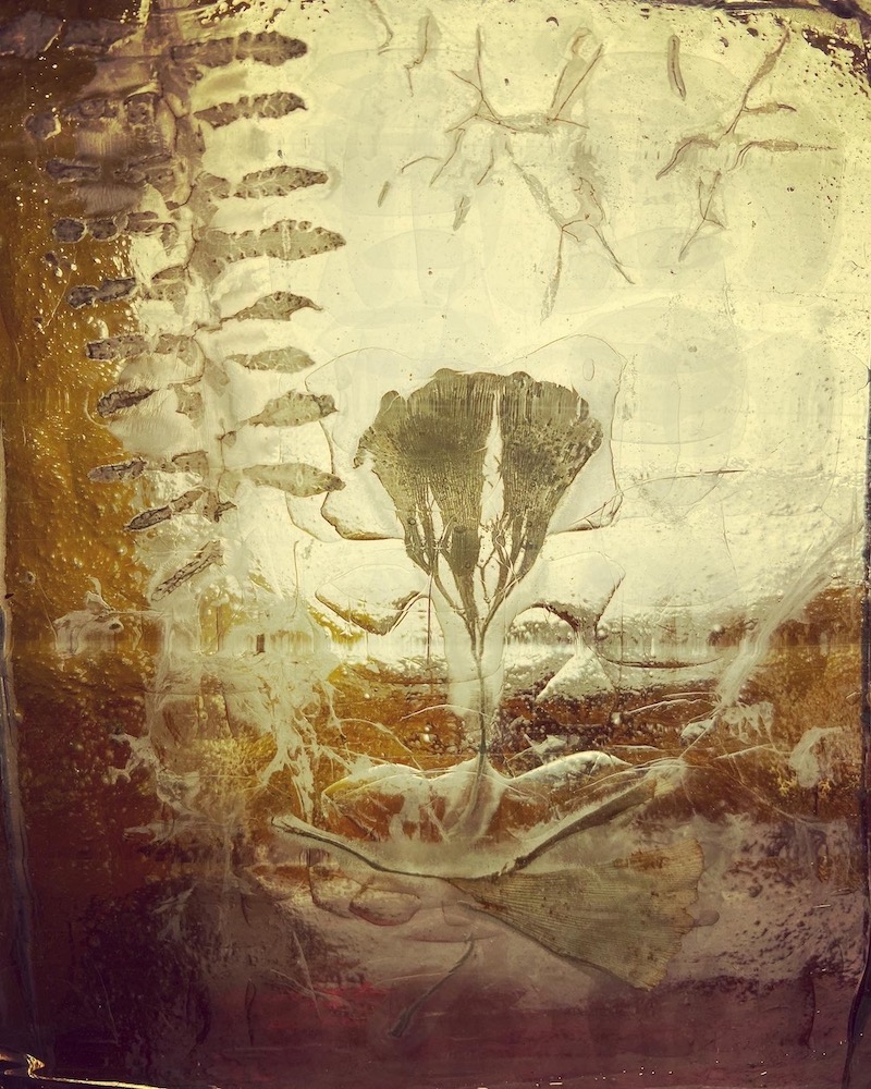 The soul of the roots The soul of the roots