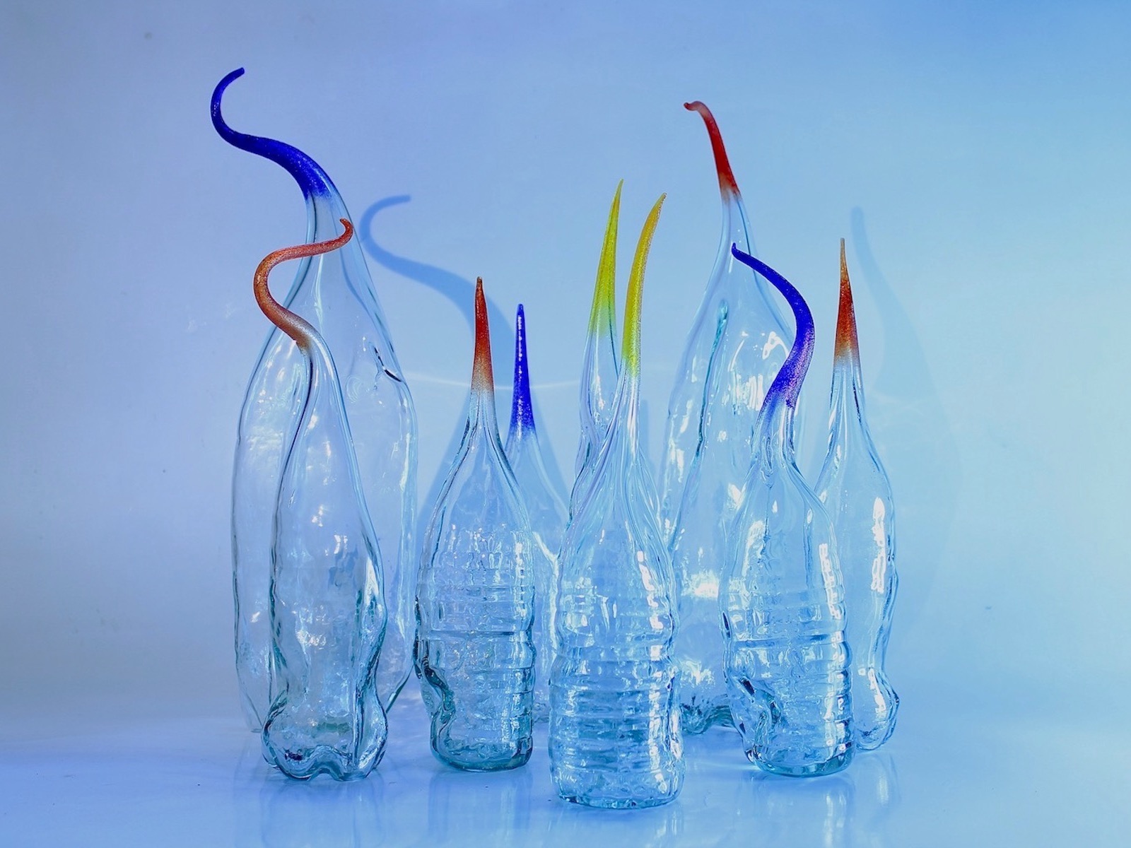 Let's Celebrate Waste