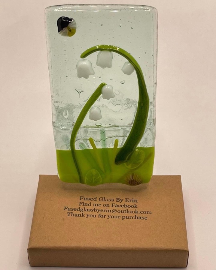 Snow drops in spring 