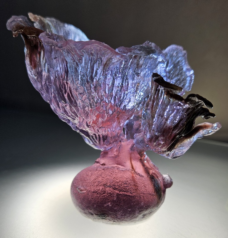 Buddy, aka Pink Pleurotus 