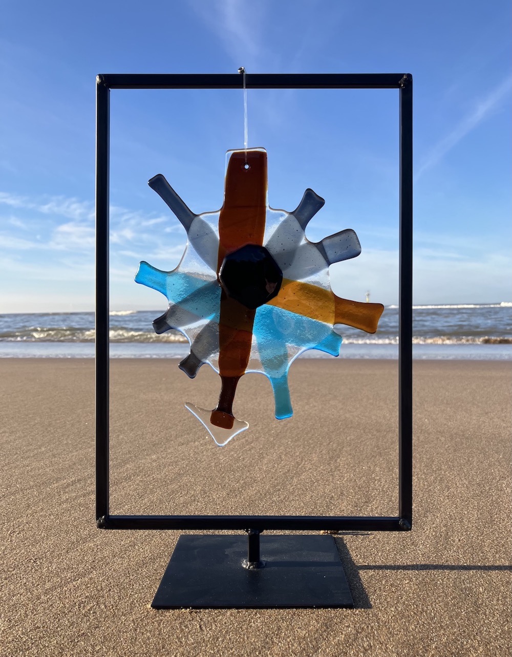 sea urchin sea urchin