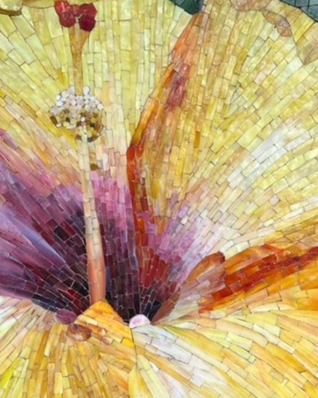 Hawaiian Hibiscus Hawaiian Hibiscus