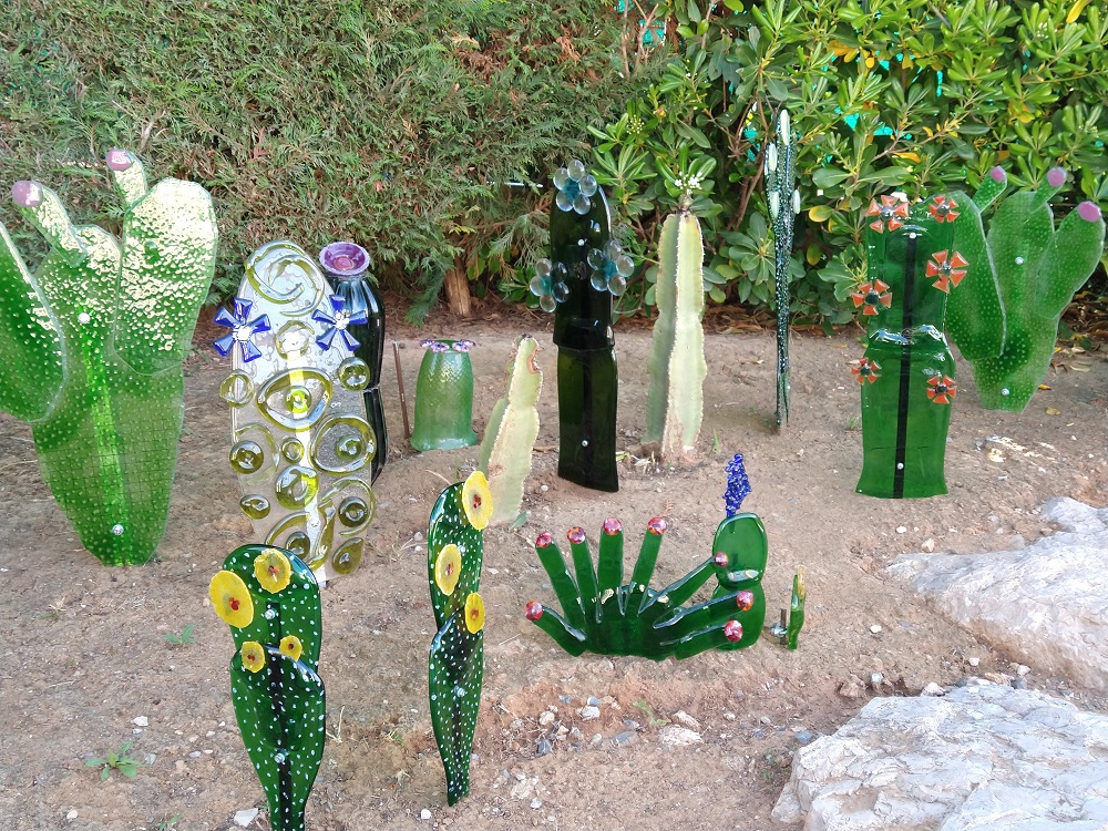 Cactus Garden Cactus Garden