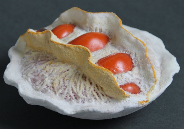 Nature in the Future