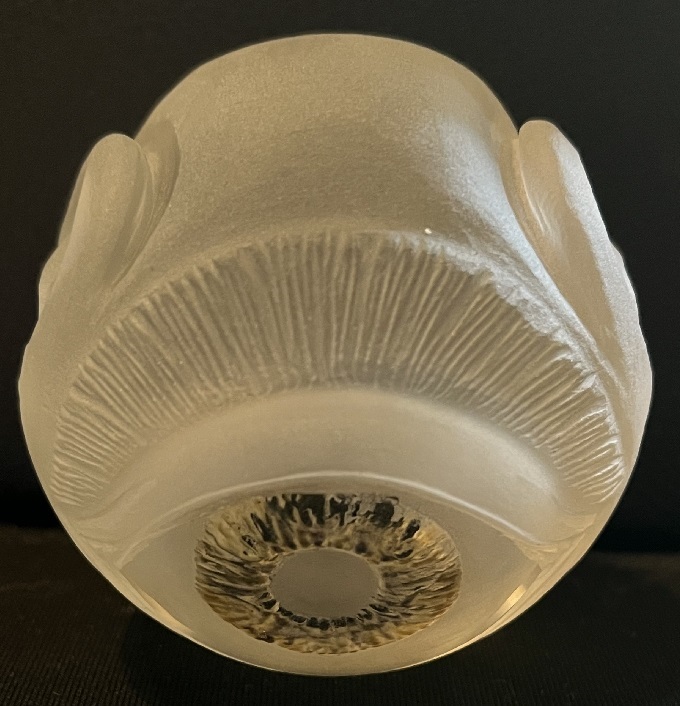 Seeing & Hearing Eye