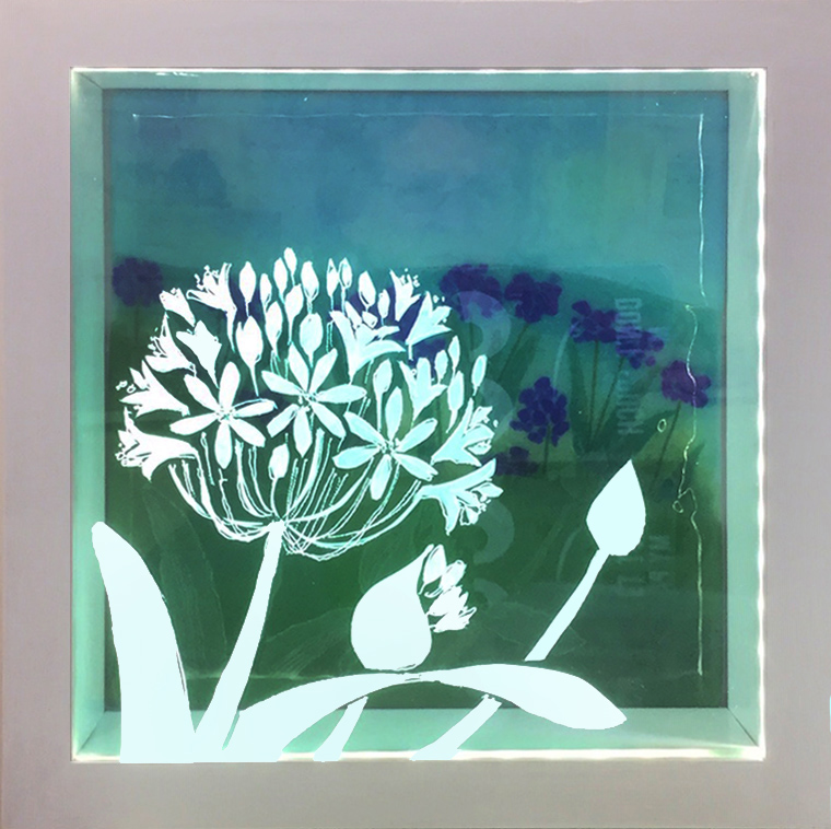 Agapanthus lightbox