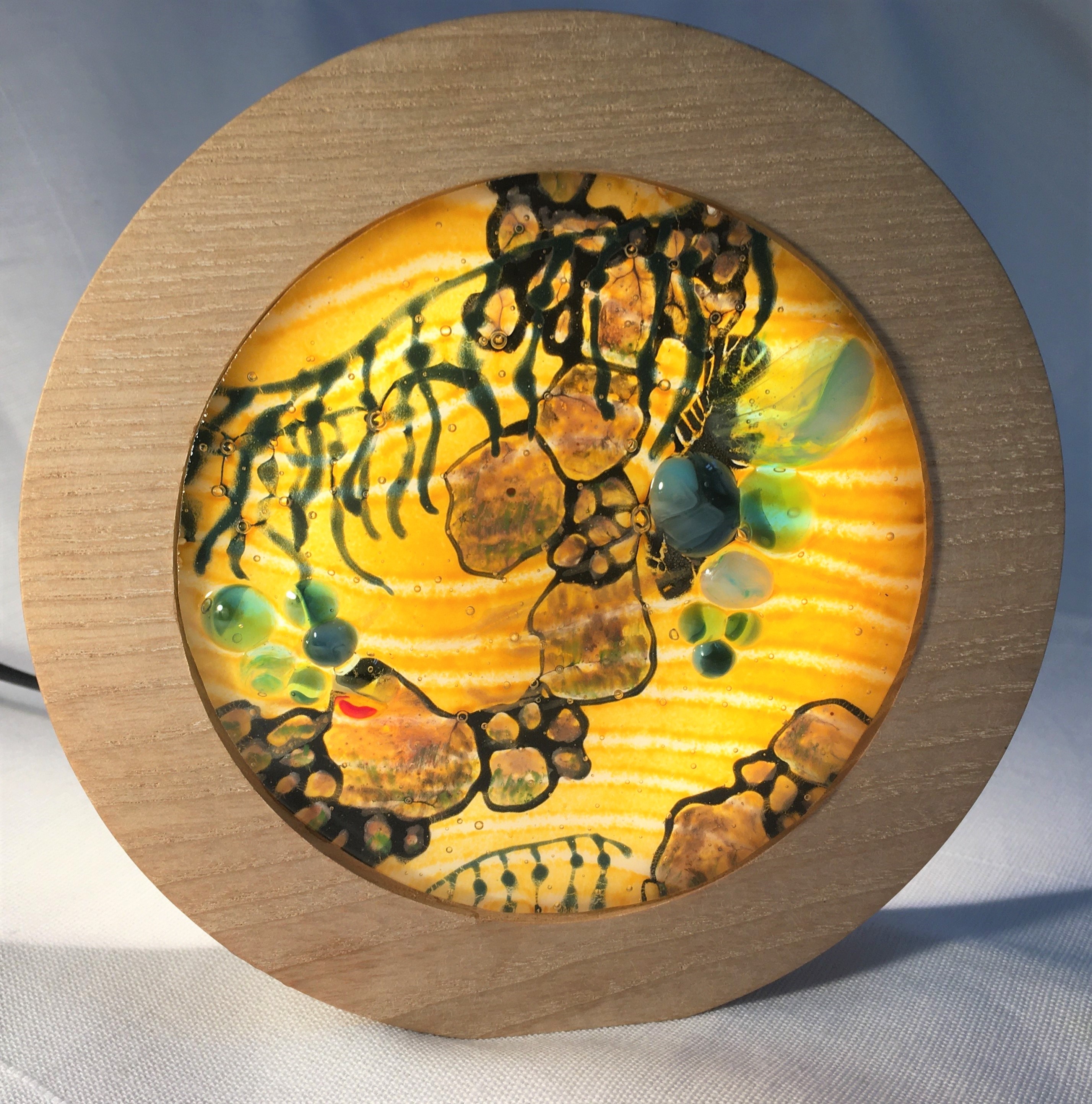 Window to another world: Rockpool 1.